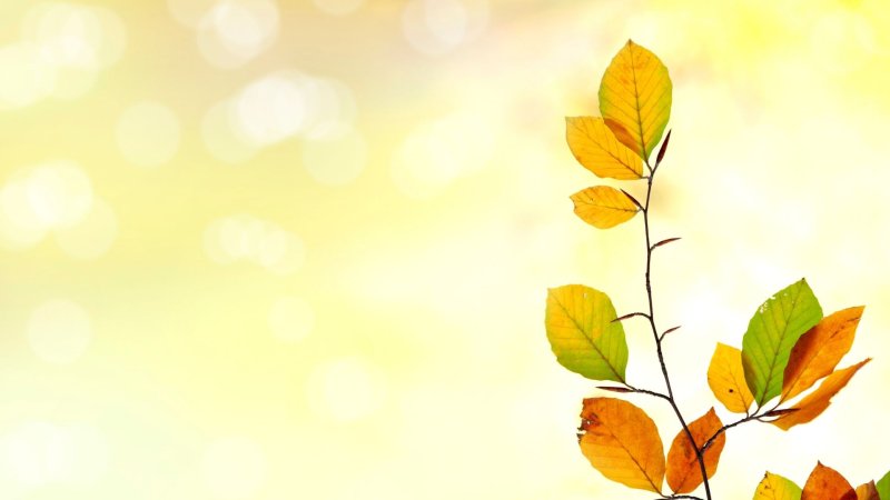 НАША МИССИЯ