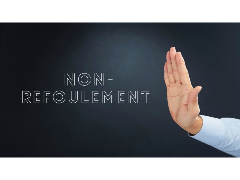 Что такое принцип невысылки (Non-Refoulement)? Его место в турецком праве (ЗИМЗ, ст. 4)