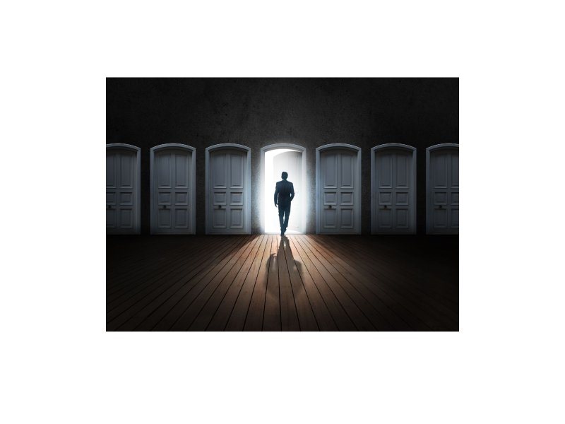 Виды компаний и их выбор