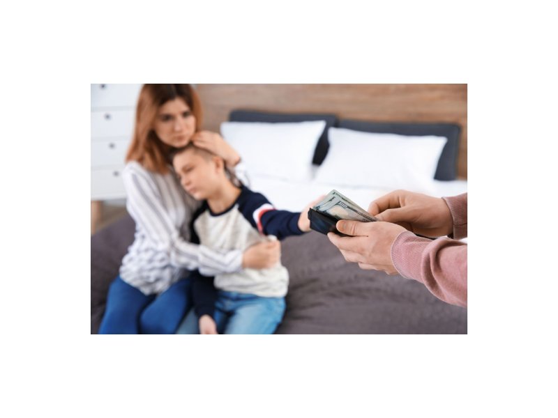 Вопросы опеки и алиментов