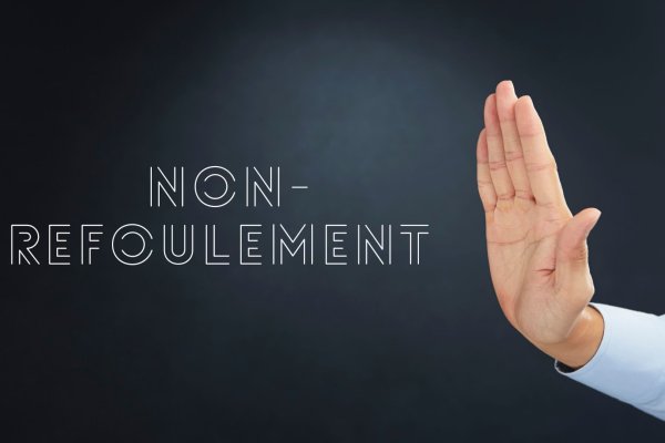 Что такое принцип невысылки (Non-Refoulement)? Его место в турецком праве (ЗИМЗ, ст. 4)