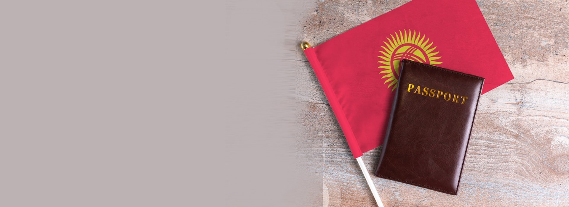 Ваш партнер в сфере права по делам иностранцев